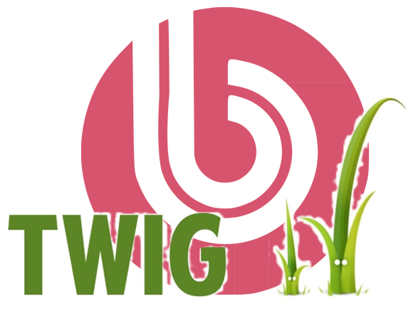 Использование шаблонизатора Twig в 1С-Битрикс - Дмитрий Языков Использование шаблонизатора Twig в 1С-Битрикс - Дмитрий Языков